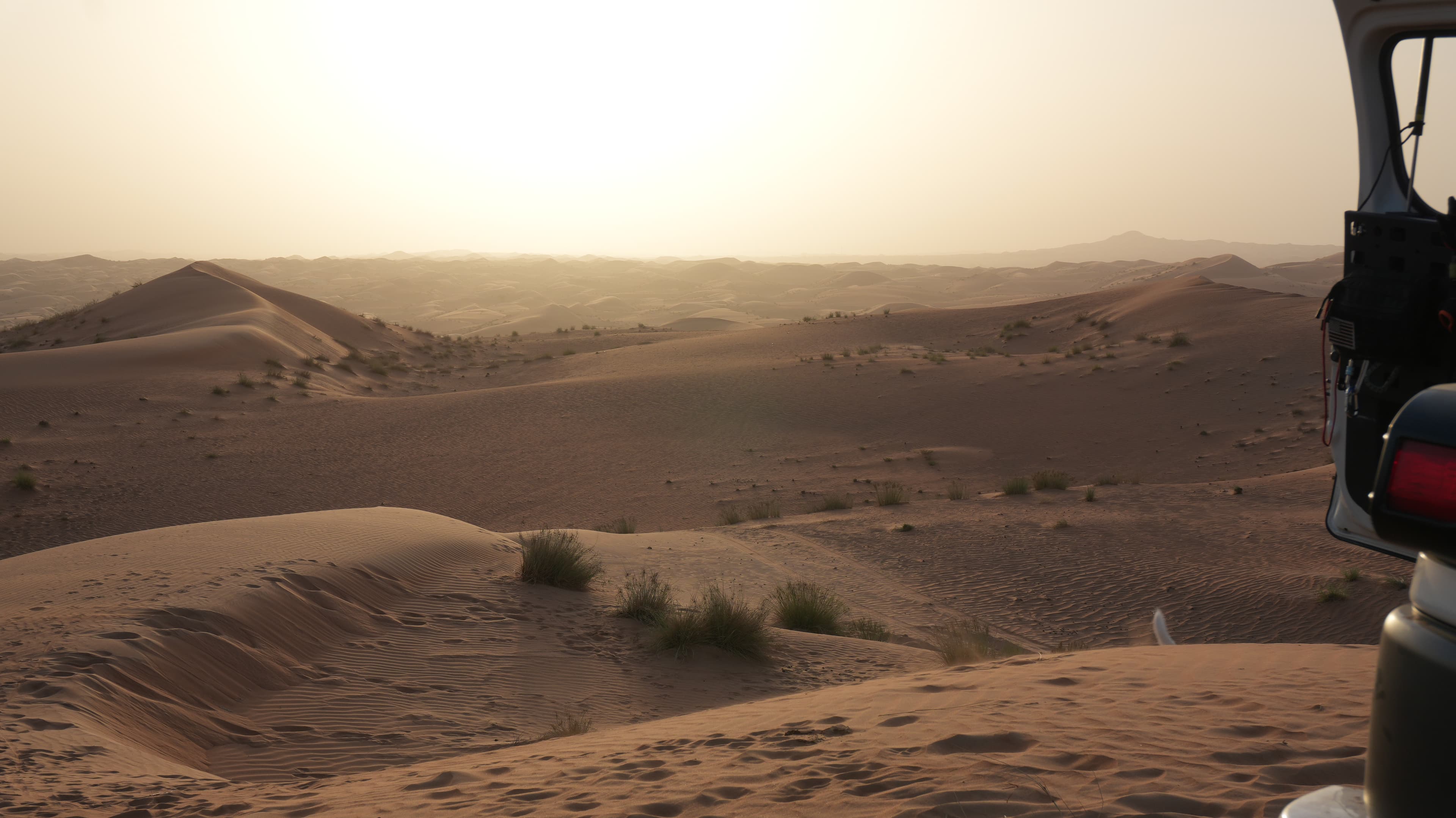 Ventrax Offroad field image 2